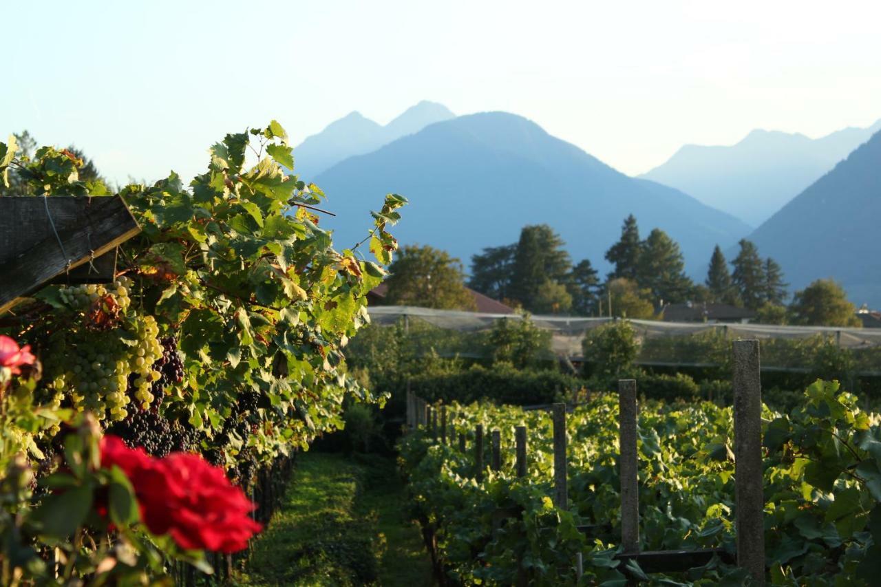 Home Suite Home Bed & Breakfast Merano Exteriér fotografie
